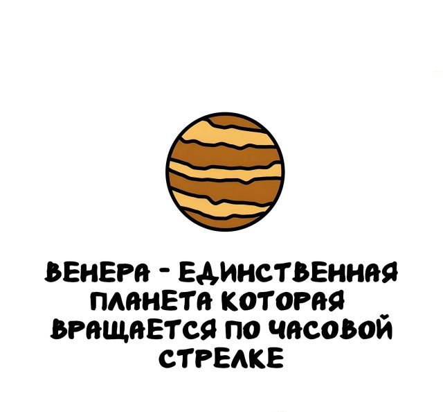 Интересные короткие факты на все случаи жизни