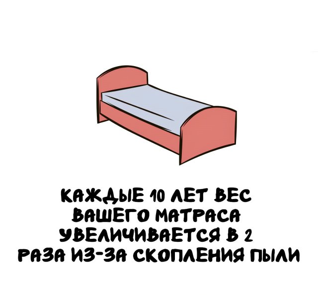 Интересные короткие факты на все случаи жизни