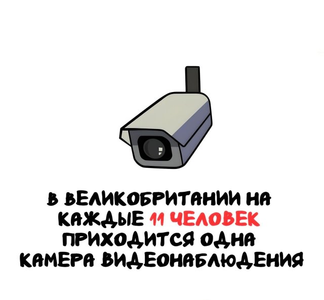 Интересные короткие факты на все случаи жизни