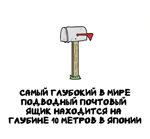 Интересные короткие факты на все случаи жизни