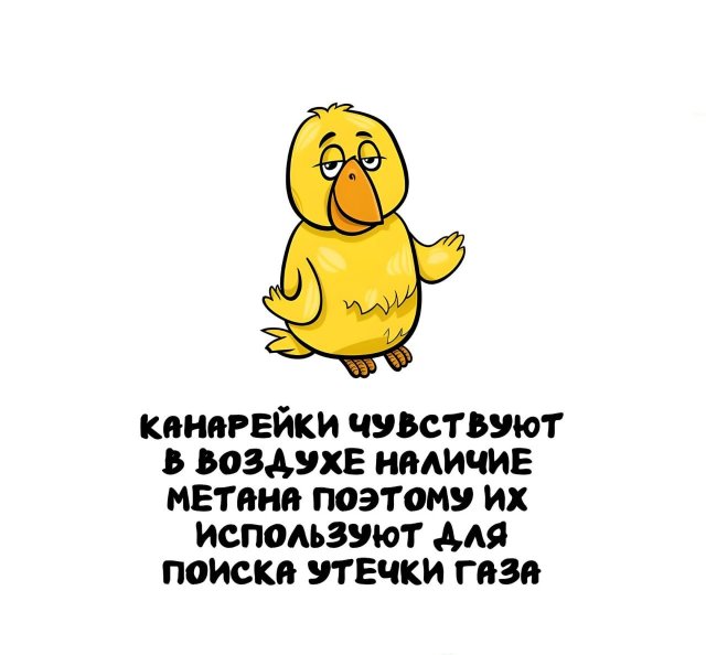 Интересные короткие факты на все случаи жизни