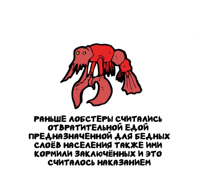 Интересные короткие факты на все случаи жизни