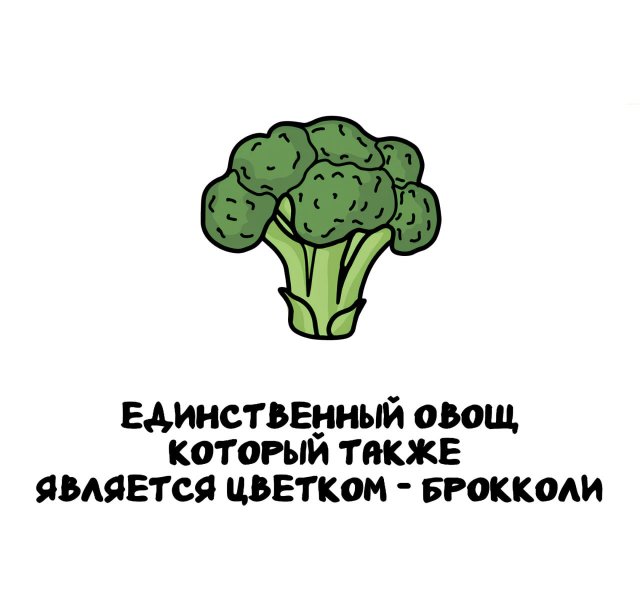 Интересные короткие факты на все случаи жизни
