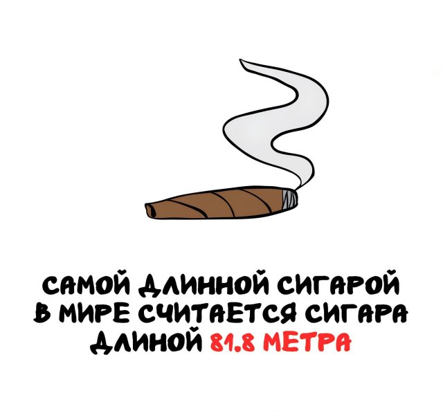 Интересные короткие факты на все случаи жизни