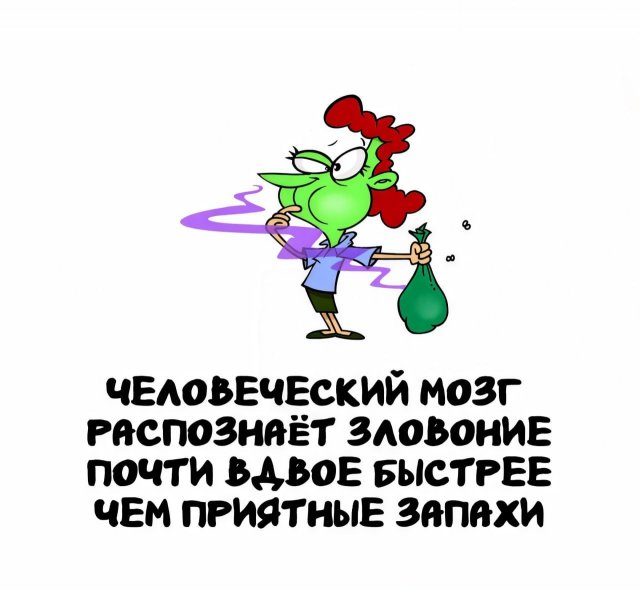 Интересные короткие факты на все случаи жизни