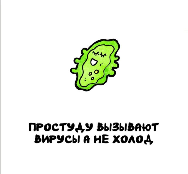 Интересные короткие факты на все случаи жизни