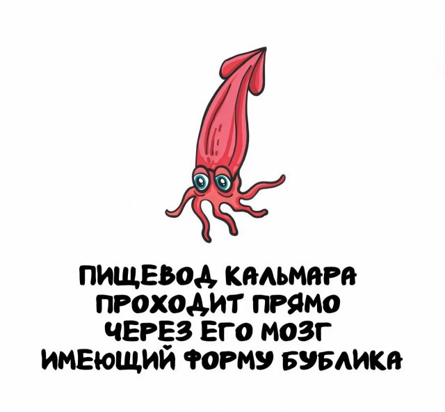 Интересные короткие факты на все случаи жизни