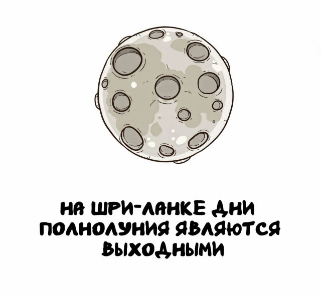 Интересные короткие факты на все случаи жизни
