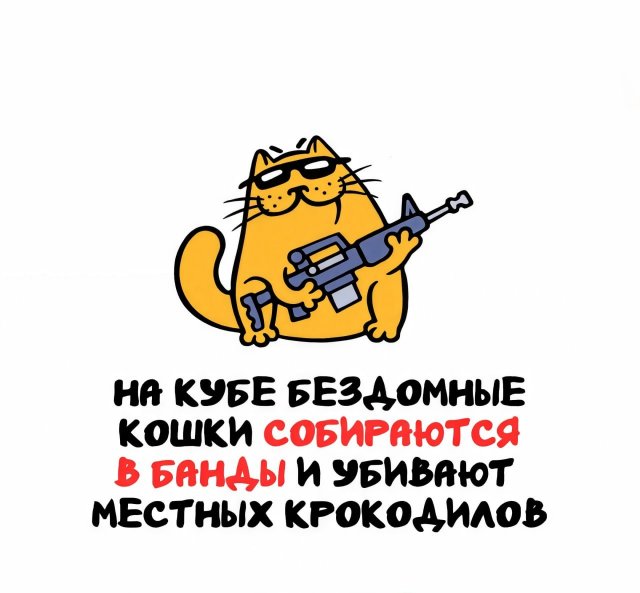 Интересные короткие факты на все случаи жизни