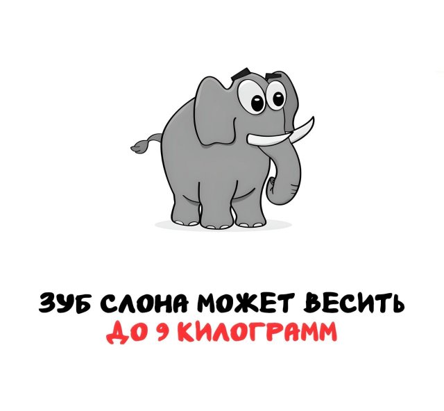 Интересные короткие факты на все случаи жизни