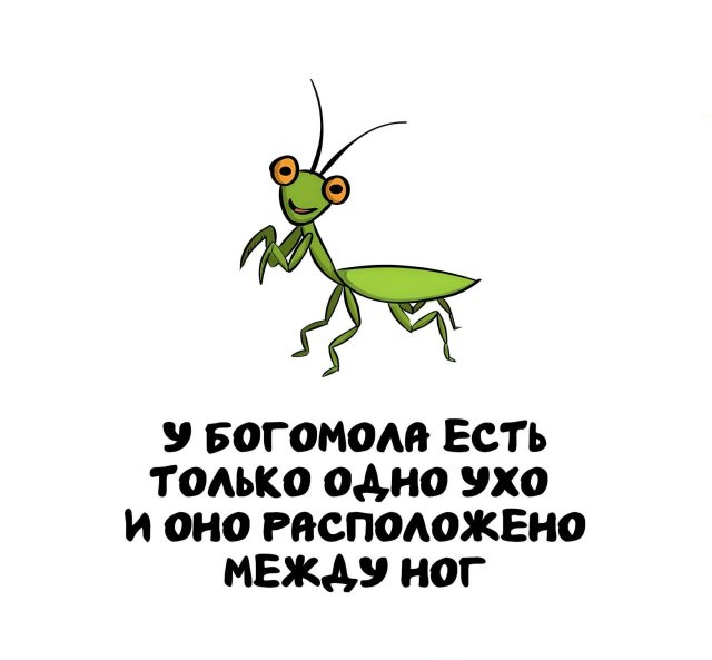 Интересные короткие факты на все случаи жизни