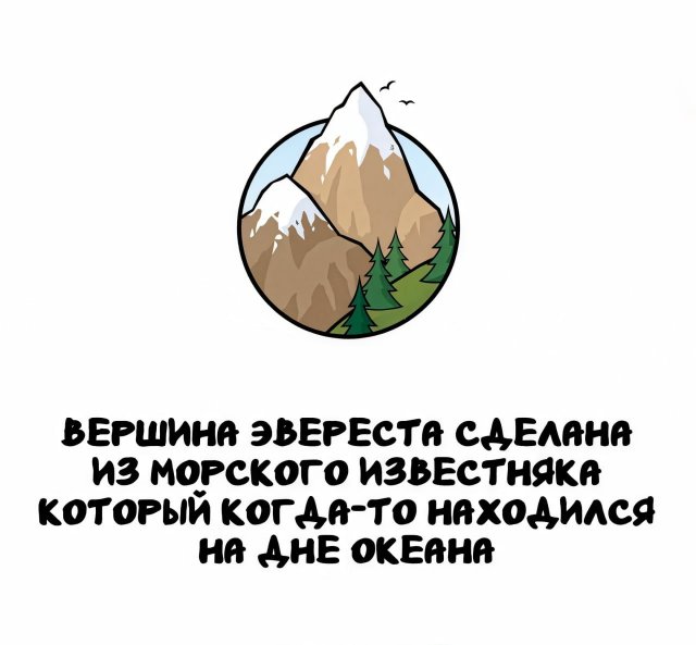 Интересные короткие факты на все случаи жизни