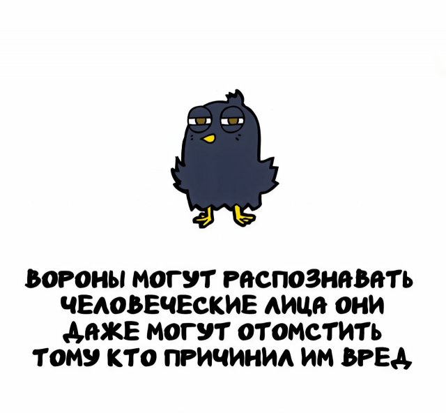Интересные короткие факты на все случаи жизни
