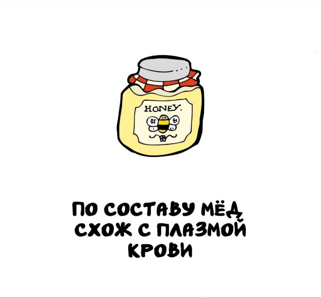 Интересные короткие факты на все случаи жизни