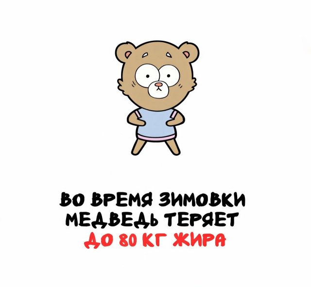 Интересные короткие факты на все случаи жизни
