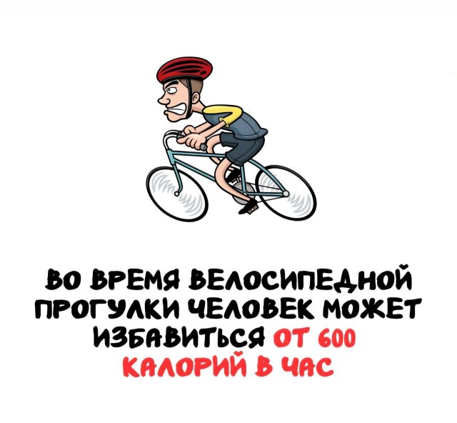 Интересные короткие факты на все случаи жизни