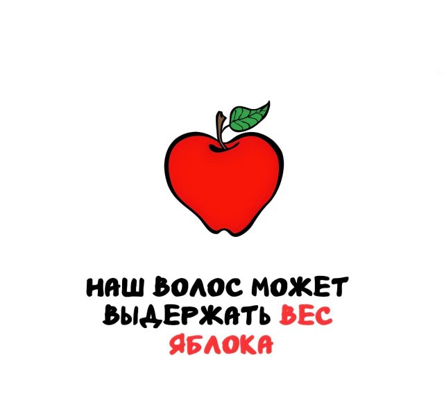 Интересные короткие факты на все случаи жизни
