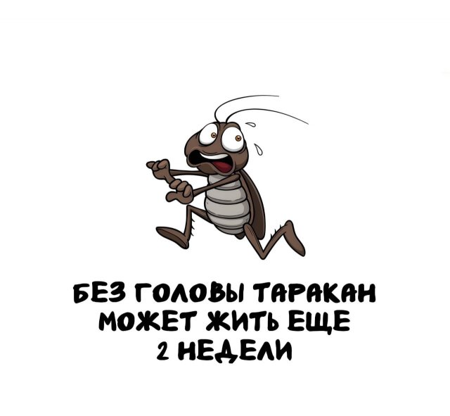 Интересные короткие факты на все случаи жизни