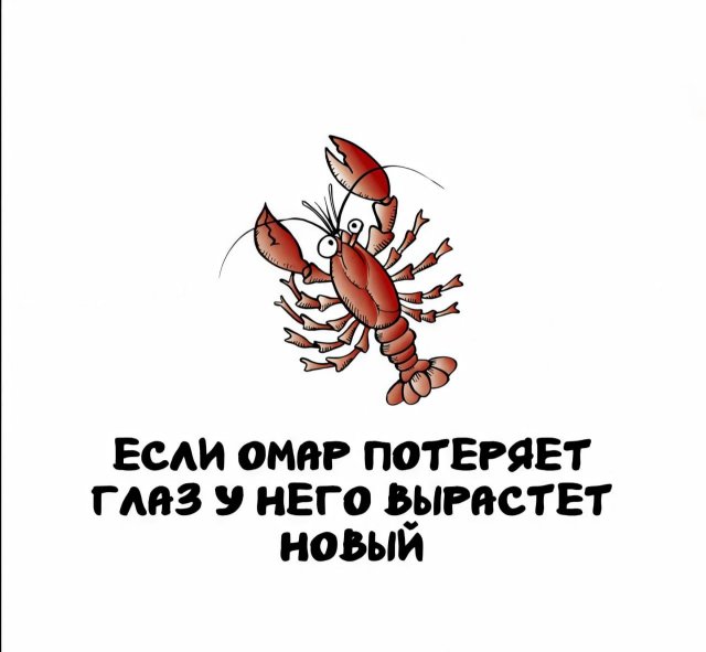 Интересные короткие факты на все случаи жизни