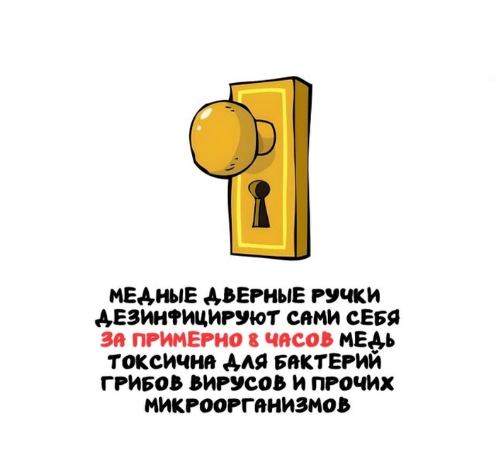 Интересные короткие факты на все случаи жизни