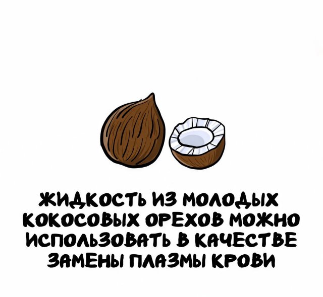 Интересные короткие факты на все случаи жизни