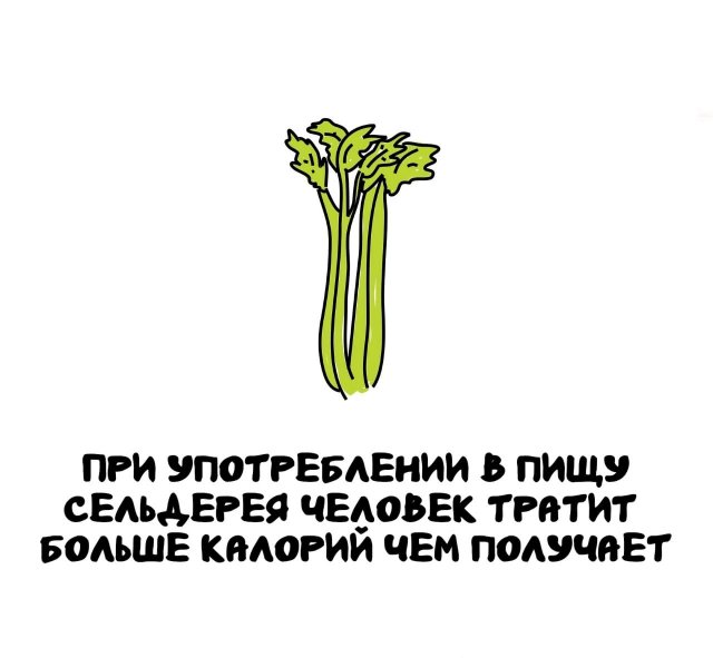 Интересные короткие факты на все случаи жизни