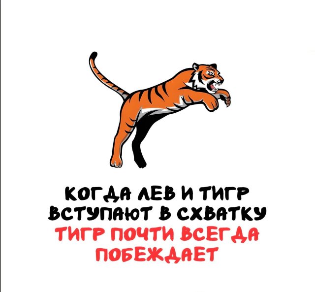 Интересные короткие факты на все случаи жизни