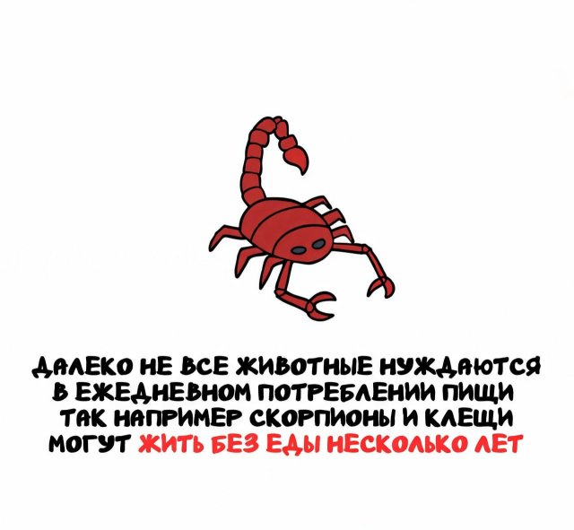 Интересные короткие факты на все случаи жизни