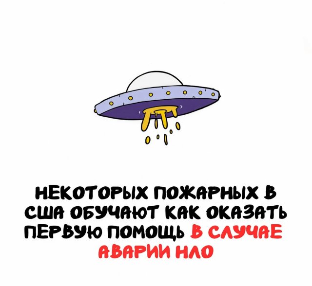 Интересные короткие факты на все случаи жизни