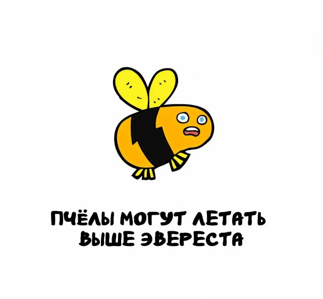 Интересные короткие факты на все случаи жизни