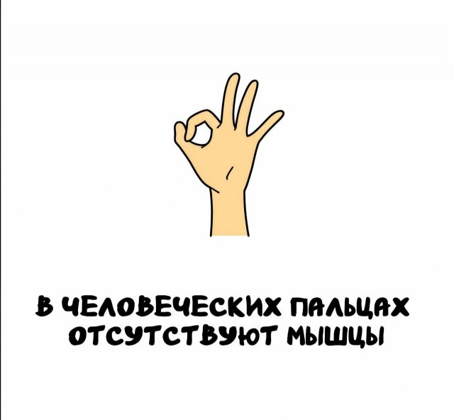 Интересные короткие факты на все случаи жизни