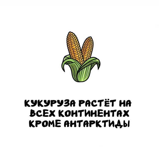 Интересные короткие факты на все случаи жизни
