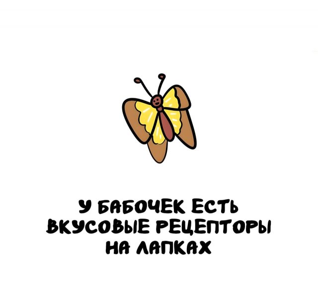 Интересные короткие факты на все случаи жизни