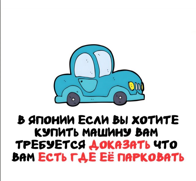 Интересные короткие факты на все случаи жизни
