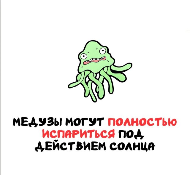 Интересные короткие факты на все случаи жизни