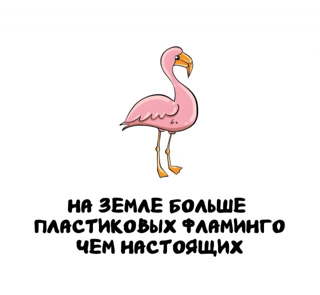 Интересные короткие факты на все случаи жизни