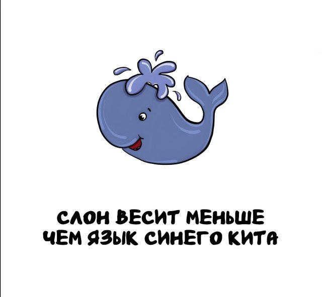 Интересные короткие факты на все случаи жизни