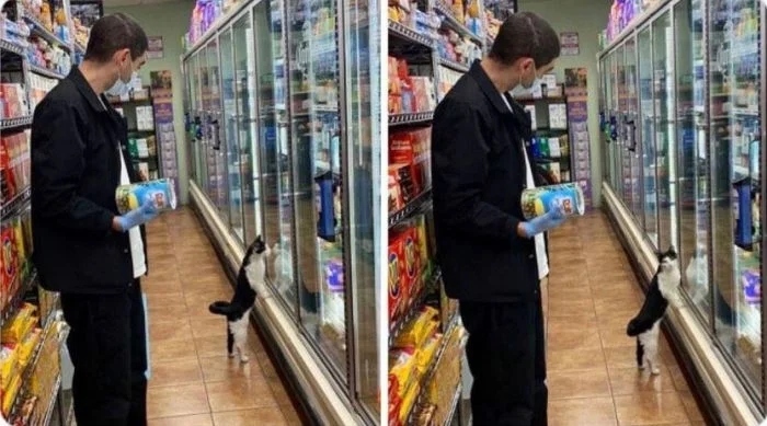 Когда братья наши меньшие отправились на шопинг