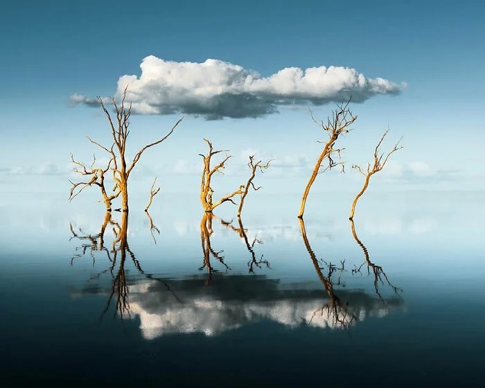 Потрясающие снимки природы, отмеченные на Fine Art Photography Awards 2025