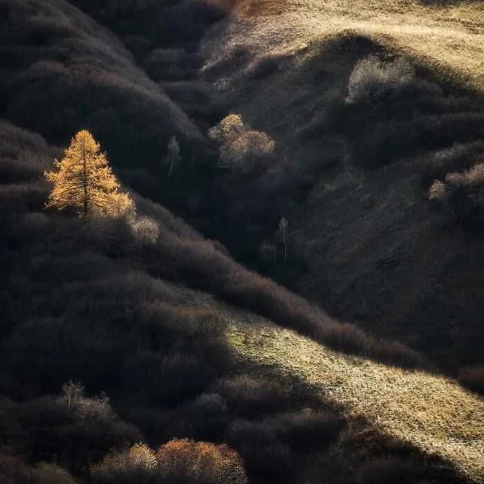 Потрясающие снимки природы, отмеченные на Fine Art Photography Awards 2025