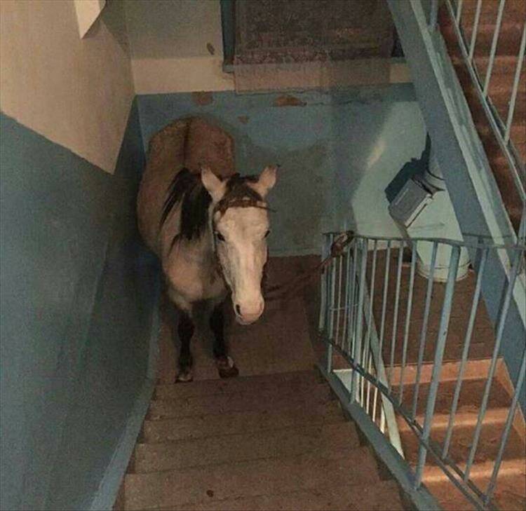 Подборка прикольных картинок