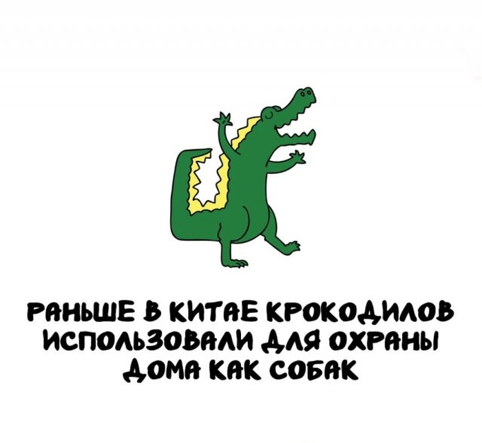 Интересные короткие факты на все случаи жизни