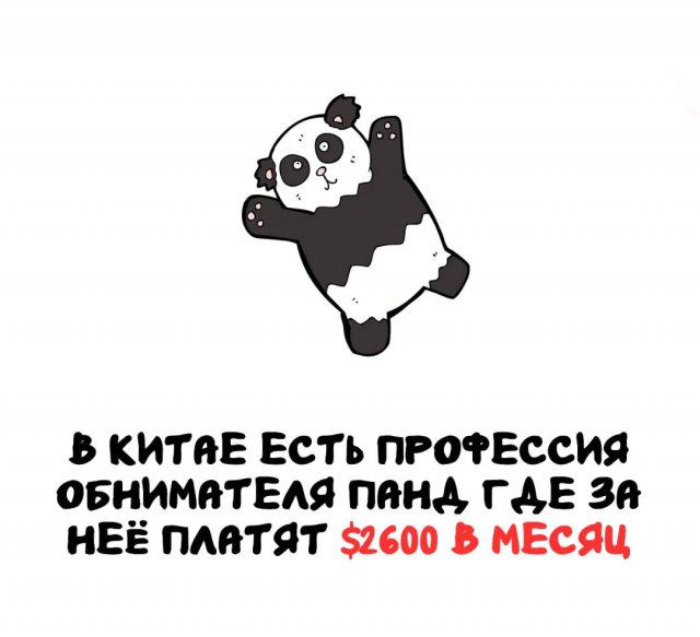 Интересные короткие факты на все случаи жизни