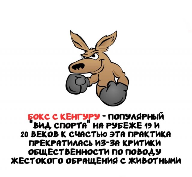 Интересные короткие факты на все случаи жизни