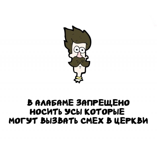 Интересные короткие факты на все случаи жизни