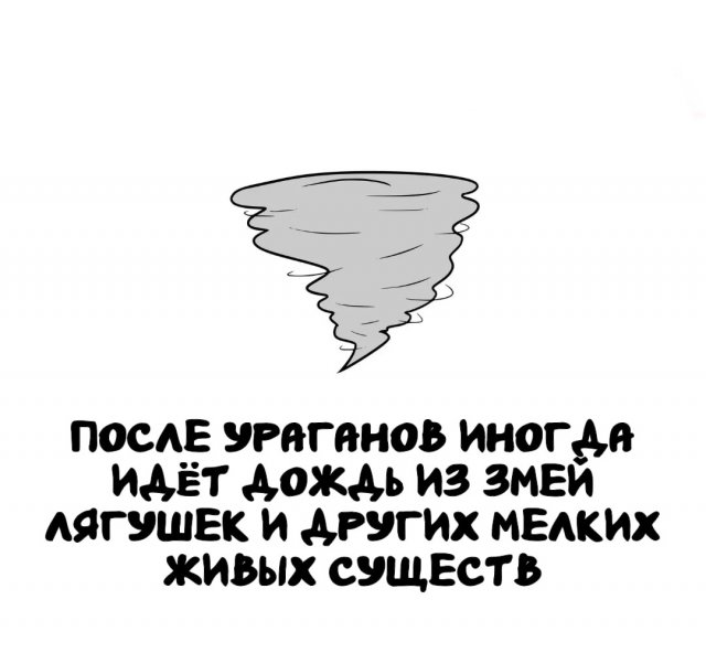 Интересные короткие факты на все случаи жизни