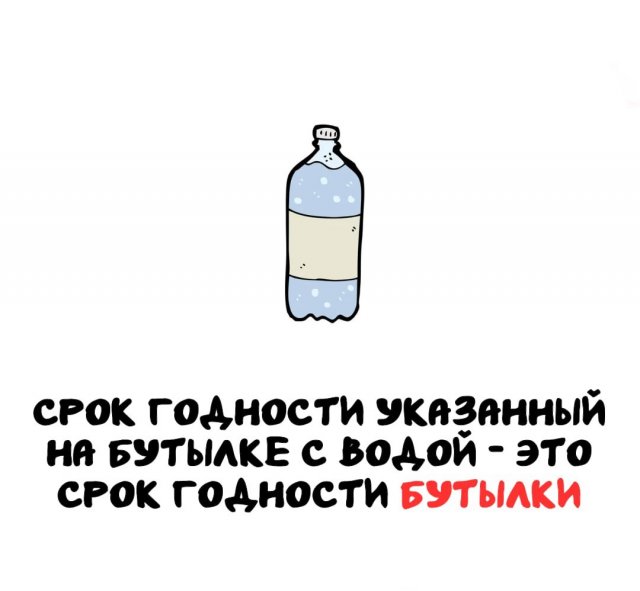 Интересные короткие факты на все случаи жизни