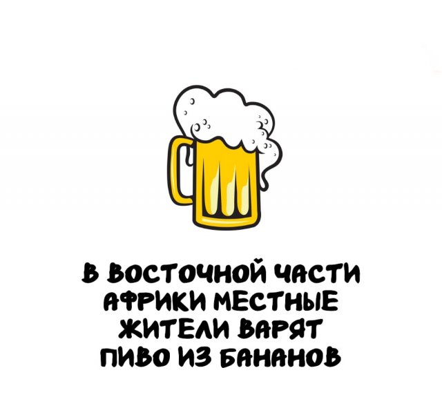 Интересные короткие факты на все случаи жизни