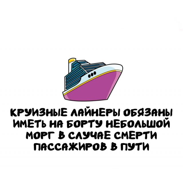 Интересные короткие факты на все случаи жизни
