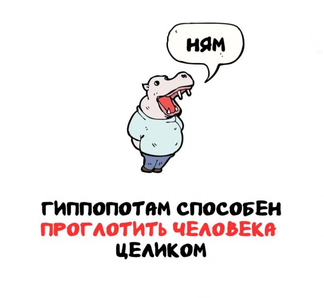 Интересные короткие факты на все случаи жизни